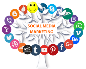 Cheema Technologies - Best Web Services provider firm in USA